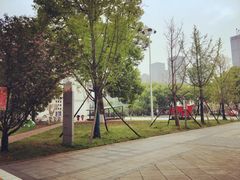 -长沙市青少年宫