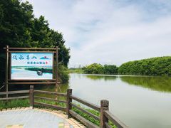 -大湾区中央湿地公园