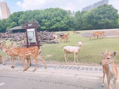 -常州淹城野生动物世界