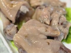 -丁老爷子苏香圆