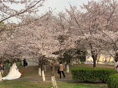 -堤角公园