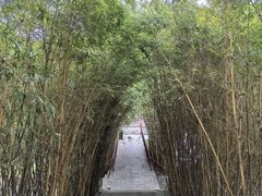 -张坝桂圆林公园