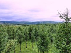 -塞罕坝国家级自然保护区