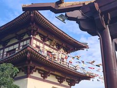 -庐山风景名胜区-东林大佛