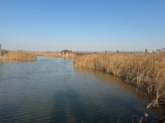 -盐城丹顶鹤湿地生态旅游区