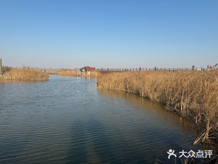 盐城丹顶鹤湿地生态旅游区图片