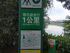 -荷塘月色湿地公园·向阳花洲