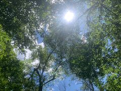 -叠溪松坪沟景区