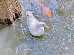 -烈士陵园(地铁站)