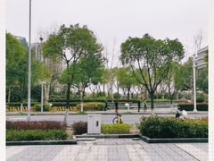-南翔镇银翔湖公园