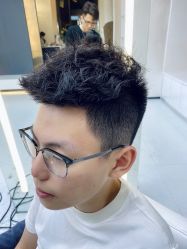 点击看大图 -金棕榈