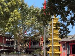 -黄龙溪古镇-古龙寺