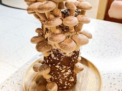 -椰子营·椰子鸡火锅(万象里店)