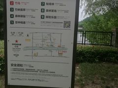 -黄海国家森林公园