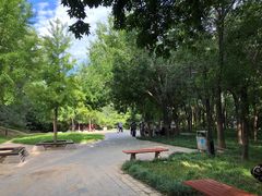 -元大都城垣遗址公园