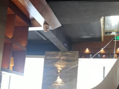-三强鸽子(胜利路店)