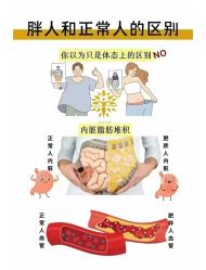 -Fundi张玉珊修身堂·indiba·BTL科技瘦身