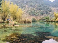 -靖西鹅泉风景区