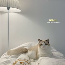 -元一肌肤管理中心