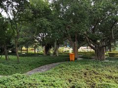 -大嶝英雄三岛战地观光园