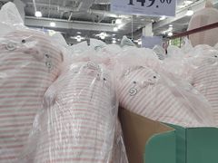 -山姆会员商店(亦庄创意生活广场店)