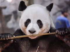 -栾川竹海野生动物园