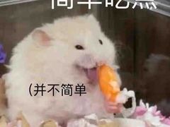 -麻喜大