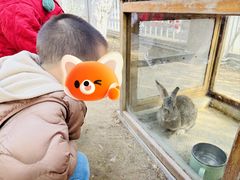 -北科婴幼学苑