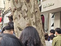 -Dip in Gelato(富民路店)