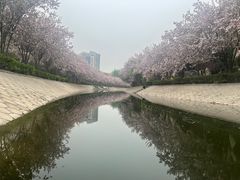 -大望京公园