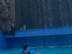 -亚马逊丛林水乐园