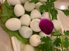 -王少龙火锅(五小区店)