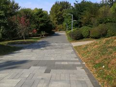 -长白岛森林公园