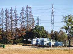 -上海长兴岛郊野公园