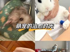 -立德异宠动物医院.兔鸟爬.内窥镜(天河店)