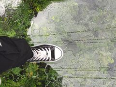 -呀诺达热带雨林