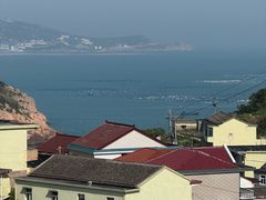 -枸杞岛