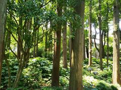 -上海醉白池公园