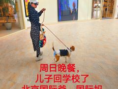 -日本大使馆-新闻文化中心