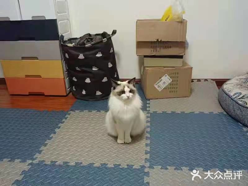 每次都看它一脸享受的样子，哈