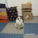 每次都看它一脸享受的样子，哈