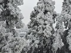 -南岳衡山风景名胜区