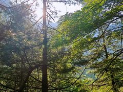 -青峰峡国家森林公园