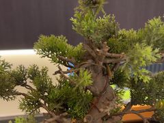 -大妙火锅·非物质文化遗产(东湖公园店)