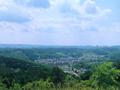 -高尔山公园