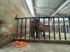 -石家庄市动物园