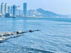 -黑石礁公园