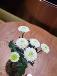 点击看大图 -伊芙世家美颜美养SPA