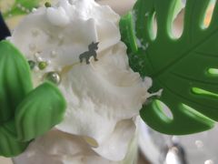 -风甜日暖·星座主题甜点(东二环泰禾店)