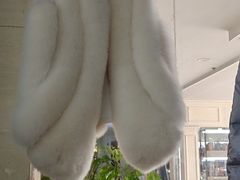 -肃宁华斯国际裘皮城